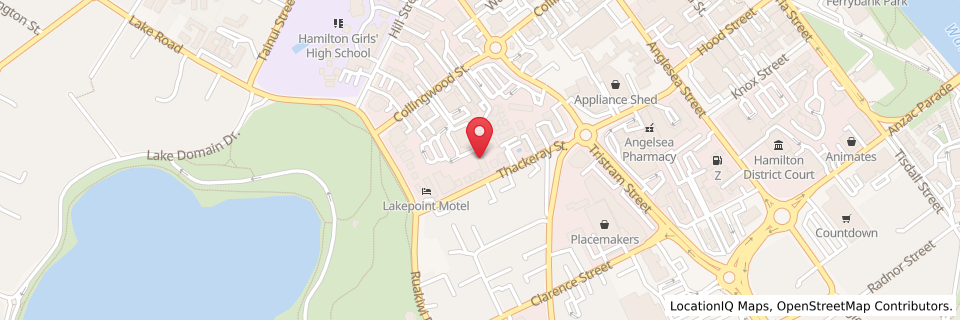 30Z Thackeray Street, Hamilton Lake, Hamilton 3204