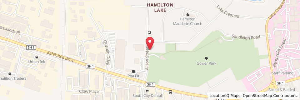 45 Alison Street, Hamilton